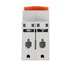 Выключатель автоматический TDM ВА47-60, 2п, 63 А, 6 кА, C, SQ0223-0099 9483660 - фото 14150340
