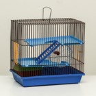 Клетка для грызунов с пластиковыми полками и наполнением, 36 х 23 х 34 см, синий - фото 2832768