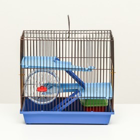 Клетка для грызунов с пластиковыми полками и наполнением, 36 х 23 х 34 см, синий