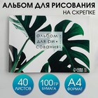 Альбом для рисования на скрепках А4, 40 листов «Растение» (обложка 160 г/м2, бумага 100 г/м2). 9403293 - фото 10256487