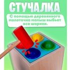 Логический центр 5 в 1 «Играем и развиваемся» - Фото 6