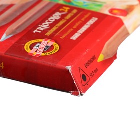 

Карандаши утолщённые Triocolor, 24 цвета, трёхгранные