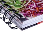 Книга для записи кулинарных рецептов А5, 80 листов на гребне "Веган", твёрдая обложка, цветные разделители - фото 6813057