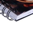 Книга для записи кулинарных рецептов А5, 80 листов на гребне "Домашняя", твёрдая обложка, цветные разделители - фото 25496482