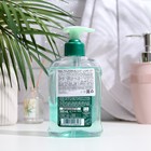 Мыло жидкое MALIZIA зеленый чай и мята, 300 мл - фото 23545309