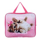 Набор первоклассника в папке, Calligrata, «Милая», 40 предметов - фото 24441307