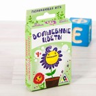 Настольная игра «Волшебные цветы» - Фото 1