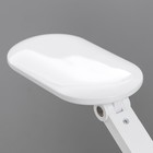 Настольная лампа "Трансформер" LED 5Вт USB АКБ 3 режима 7,5х14,5х34 см RISALUX 9228350