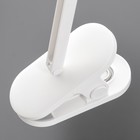 Настольная лампа «Эльмо» LED 2 Вт USB АКБ 5.5×12.5×24 см RISALUX - Фото 10