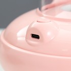 Ночник увлажнитель "Собачка пилот" LED USB 14,5х14,5х14 см RISALUX - фото 22024938