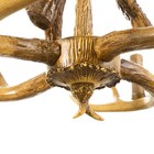 Люстра "Рога" 4хЕ14 40Вт коричневый 65х65х40-130 см - Фото 6