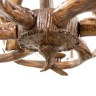 Люстра «Рога», 6хЕ14, 40 Вт, коричневая, 65×65×40-130 см - Фото 6