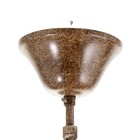 Люстра «Рога», 6хЕ14, 40 Вт, коричневая, 65×65×40-130 см - Фото 7