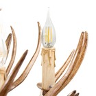 Люстра «Рога», 6хЕ14, 40 Вт, коричневая, 65×65×40-130 см  (артикул 9285263)  большой выбор товаров оптом и в розницу по низким ценам с доставкой