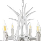 Люстра "Рога" 8хЕ14 40Вт белый 82х82х40-130 см - Фото 5