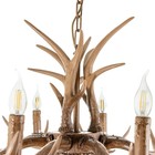 Люстра "Рога" 8хЕ14 40Вт коричневый 82х82х40-130 см BayerLux - Фото 5