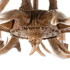 Люстра "Рога" 8хЕ14 40Вт коричневый 82х82х40-130 см BayerLux - Фото 6