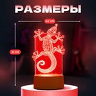 Светильник 3D RISALUX «Геккон», LED-ночник, белый, 9×9.5×15 см - Фото 4