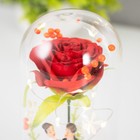 Ночник колба "Жених и невеста" LED от батареек LR44 8х8х19 см RISALUX - фото 22025241