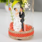 Ночник колба "Жених и невеста" LED от батареек LR44 8х8х19 см RISALUX - фото 22025242