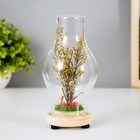 Ночник колба "Цветение LOVE" LED от батареек LR44 МИКС 8х8х19 см RISALUX - фото 22025294