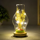 Ночник колба "Цветение LOVE" LED от батареек LR44 МИКС 8х8х19 см RISALUX - фото 22025295