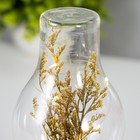 Ночник колба "Цветение LOVE" LED от батареек LR44 МИКС 8х8х19 см RISALUX - фото 22025296