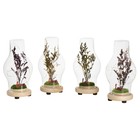 Ночник колба "Цветение LOVE" LED от батареек LR44 МИКС 8х8х19 см RISALUX - фото 22025300