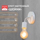 Белый