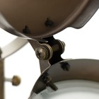 Настольная лампа "Алес" E27 40Вт бронза 24х31 см RISALUX - Фото 14