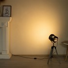 Настольная лампа "Алес" E27 40Вт бронза 24х31 см RISALUX - Фото 19