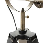 Настольная лампа "Алес" E27 40Вт бронза 24х31 см RISALUX - Фото 9