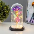 Фигурка светящаяся колба RISALUX «Цветной цветок», LED - ночник, от батареек 3×ААА, 11×11×20 см - Фото 2