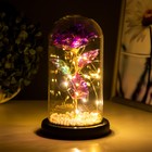 Фигурка светящаяся колба RISALUX «Цветной цветок», LED - ночник, от батареек 3×ААА, 11×11×20 см - Фото 3