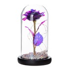 Фигурка светящаяся колба RISALUX «Цветной цветок», LED - ночник, от батареек 3×ААА, 11×11×20 см - Фото 9