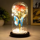 Ночник колба "Цветок и бабочка" LED от батареек 3хААА 11х11х19,5 см RISALUX - Фото 3