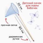 Сачок детский, большой, 22 х 83 см, синий - Фото 1