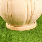 Горшок для цветов «Тыква», 10 л, d=28 см, h=24 см, шамот, с поддоном, бежевый - Фото 2