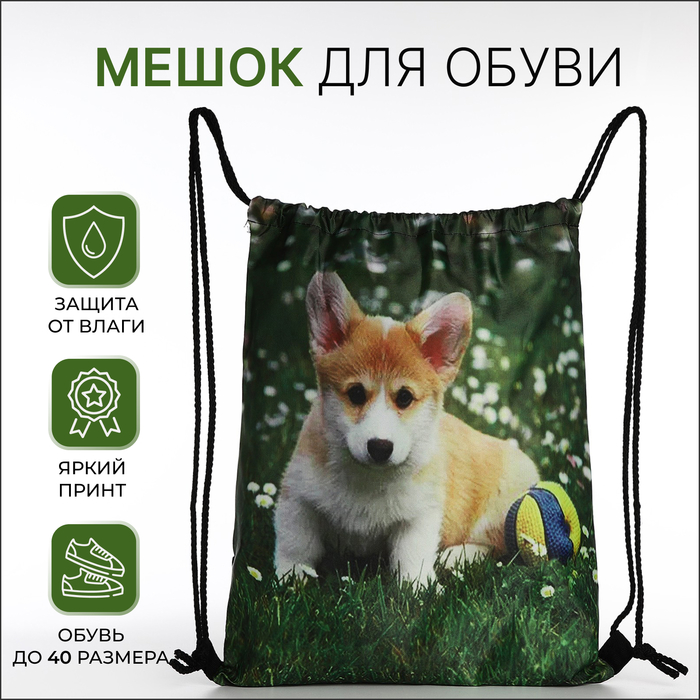 Мешок для обуви на шнурке, зелёный - Фото 1