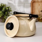 УЦЕНКА Чайник, 3 л, деколь МИКС (слоновый) - Фото 2