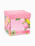 Подарочный набор «8 марта», чай зелёный со вкусом жасмина 50 г, печенье брауни 120 г, конфеты с шоколадной начинкой 110 г - Фото 11