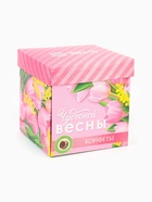 Подарочный набор «8 марта», чай зелёный со вкусом жасмина 50 г, печенье брауни 120 г, конфеты с шоколадной начинкой 110 г - Фото 14