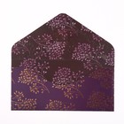 Конверт для денег "С Днём Рождения!" вырубка, конгрев, лак твин, тиснение, тигр, 9,3х19 см 9505802