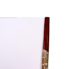 УЦЕНКА Папка для черчения А3 (297*420мм), 10 листов, без рамки, блок 200г/м2, незначительное замятие - Фото 4