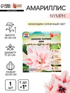 Амариллис Махровый Nymph, многолетник, луковица, р-р 22/24, 1 шт. - Фото 1
