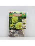 Георгина Декоративная BERLINER LEMON, клубнелуковица в упаковке, р-р I, 1 шт. - Фото 5