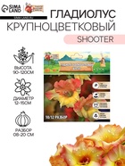 Гладиолус Крупноцветковый "Shooter", р-р 8/10, 7 шт , - Фото 1