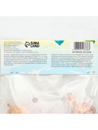 Гладиолус Крупноцветковый "Shooter", р-р 8/10, 7 шт , - Фото 7