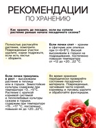 Пион "Alexander Fleming", р-р 3/5, 1 шт, Весна 2025 9513340 - фото 4334919