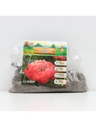 Пион "Coral Charm", р-р 3/5, 1 шт, Весна 2025 9513341 - фото 4334923